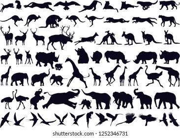 Silhouette de la colección Animals