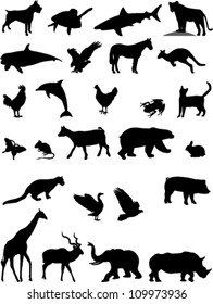 animals collection vector