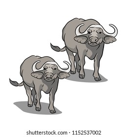 Animals collection vector buffalo twin