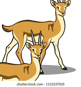 Animals collection vector deer art