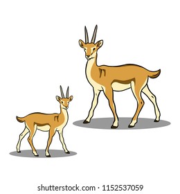 Animals collection vector deer with baby deer