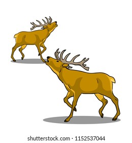 Animals collection vector deer twin illustration
