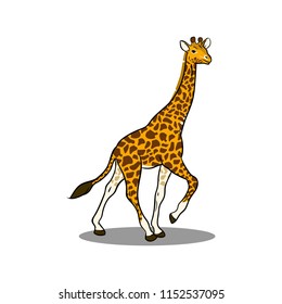 Animals collection vector giraffe