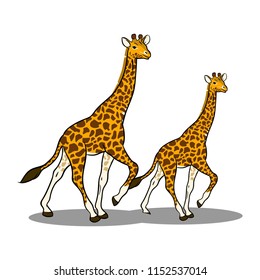 Animals collection vector giraffe twin