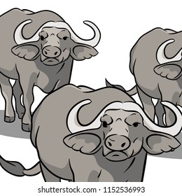 Animals collection vector group of buffalo