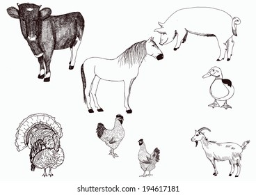  animals collection - vector silhouette on background