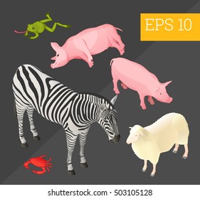 animals collection with zebra, pigs, frog, sheep and crab eps10 vector illustration