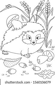 Animals coloring page. Hedgehog contour. Children background. Animals outline. Doodle background