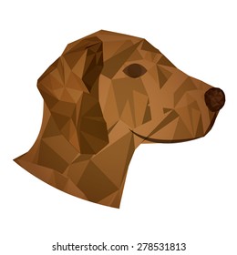 Animals design over white background, vector illustration