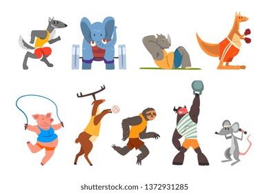 Animals doing exercise, kangaroo, hippo, wolf, elephant, pig, bull, sloth and deer in the gym, fitness and healthy lifest.yle vector Illustrations on a white background