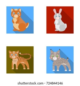 Animals, domestic, wild and other web icon in flat style. Zoo, toys, children, icons in set collection.