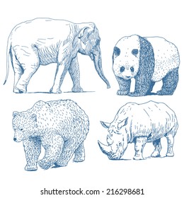 Animals drawings set isolated on white background: elephant, panda, bear, rhino