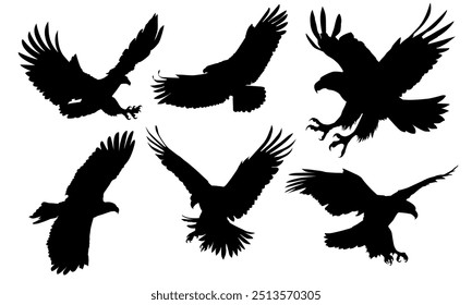 Animals eagle hawk bird fly swoop attack silhouette set collection on white background vector illustration.