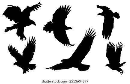 Animals eagle hawk bird fly swoop attack silhouette set collection on white background vector illustration.