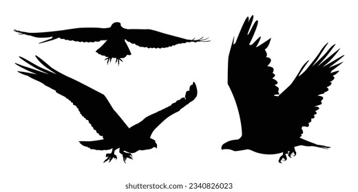 Animals Eagle Silhouettes Vector Illustration