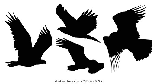 Animals Eagle Silhouettes Vector Illustration