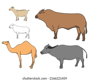 animals for Eid al-Adha sacrifice.  sheep, goat, camel, cow and buffalo.  vector illustration