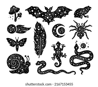 Animals and elements that witch use in potion recipevector. Toad, lizard, moth, snail, mushroom, bat, spider vector icon. Halloween black tattoo set. Mystic esoteric silhouette. Alchemy magic set