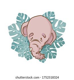 Animals. Elephant on the background of decorative tropical leaves. Vector illustration