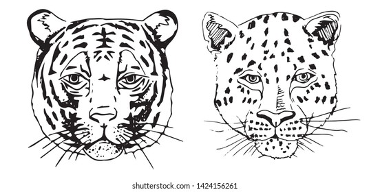 Animals Endangered Species vector Illustration