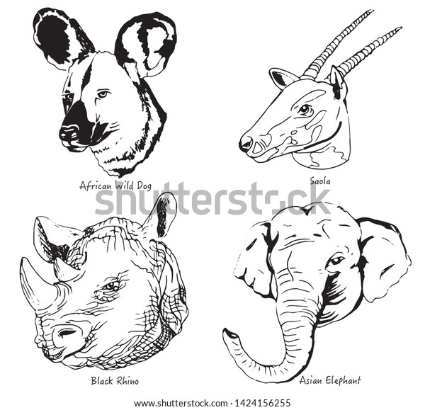 Animals Endangered Species Vector Illustration Stock Vector