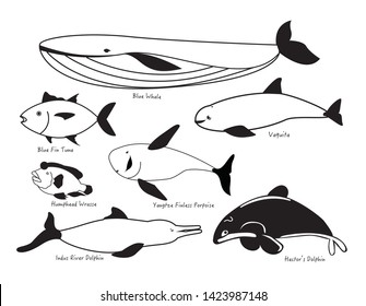 Animals Endangered Species Vector Illustrator