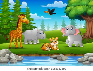 Animals are enjoying nature by the river