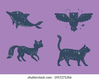 animals esoteric astrology mystery set