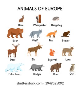 Animals of Europe : hare, woodpecker, hedgehog, bear, wolf, fox, beaver, deer, elk, squirrel, lynx, polar bear, owl, boar, badger on a white background.Flat cartoon. 