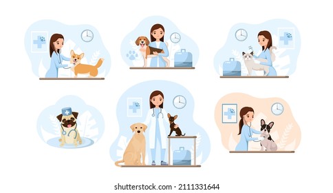 The animals are examined by a veterinarian. Cat and dog care. Vaccination. A set of vector illustrations. Flat design.


