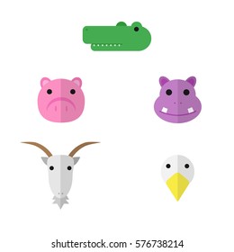 Animals face in flat design