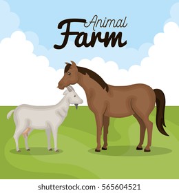 animals farm in the field
