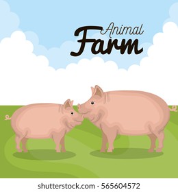 animals farm in the field