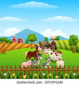 Animals farm in the hills
