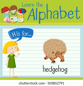 Animals in a farm paddock
