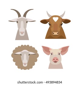 Animals of a farm. Vector flat cartoon cow, bull, calf, pig, goat, sheep head,  face isolated, poster, banner, print, advertisement, web design element. Domestic animals. livestock.