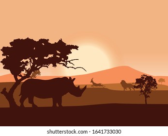 Animals feasting sunset in savanna