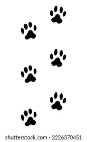 Animals feet track. Cat black paw, walking feet silhouette or footprints. Trace step imprints isolated on white. Walking tracks paws illustration