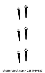 Animals feet track. Rabbit black paw, walking feet silhouette or footprints. Trace step imprints isolated on white. Walking tracks paws illustration