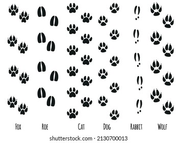 Animals feet tracks. Animals paws and sillhouetts.