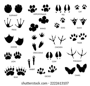 Animals feet tracks set with name. Black paw walking feet silhouette or footprints. Trace step imprints isolated on white. Walking tracks paws illustration