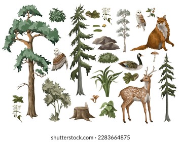 Animals, firs and trees isolated. Vector