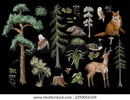 Animals, firs and trees isolated. Vector