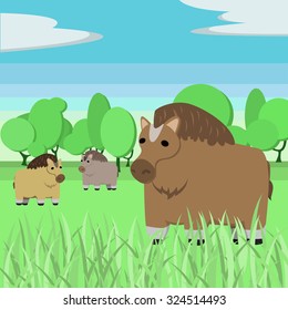 animals . flat horse in the savanna