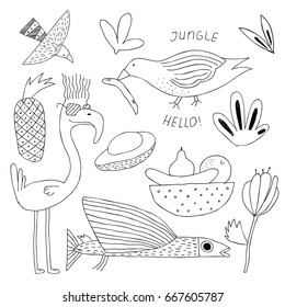 Animals and flowers from the jungle, elements