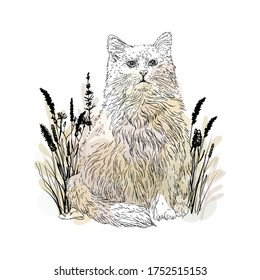 Animals. Fluffy cat drawn by a black contour. In the light of transparent spots, abstraction. Creative illustration.
