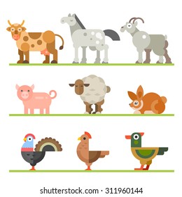 Animals for food. Birds and fish. Domestic and farm pets that eat by people. Vector flat illustration
