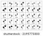 animals foot marks animal footprint animals paw 

silhouettes. animals and birds feet tracks. 



