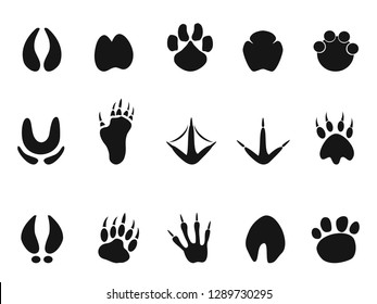 243 Rhino footprints Images, Stock Photos & Vectors | Shutterstock