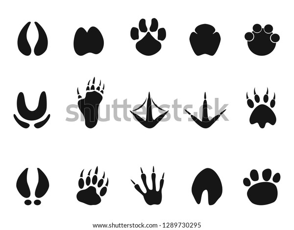 Animals Footprint Paw Icons Set Stock Vector (Royalty Free) 1289730295 ...